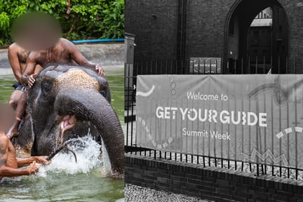 GetYourGuide Summit Week Banner next to an exploited elephant being ridden in Thailand